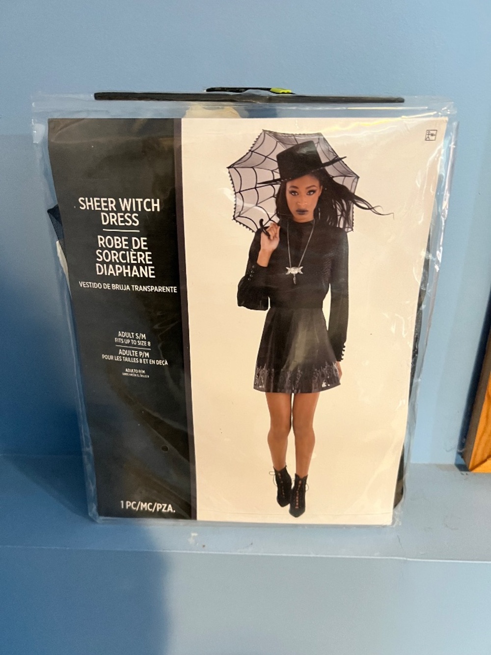 Sheer witch dress costume/hat
